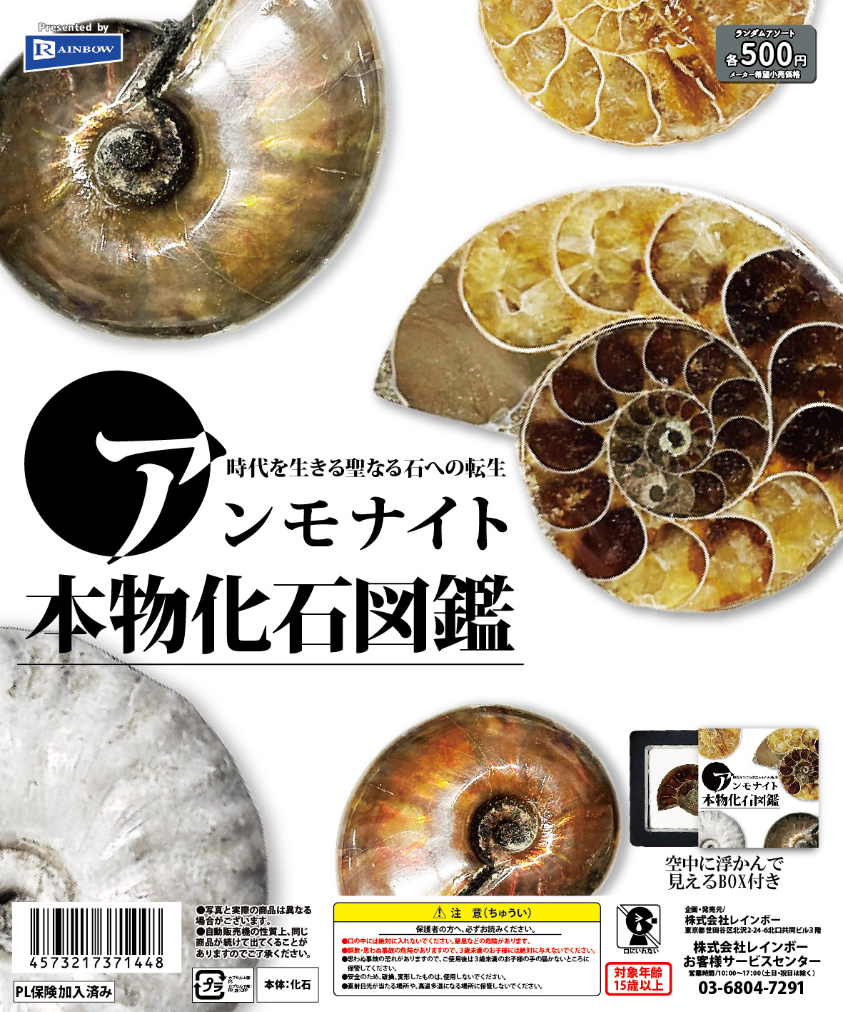 アンモナイト本物化石図鑑
