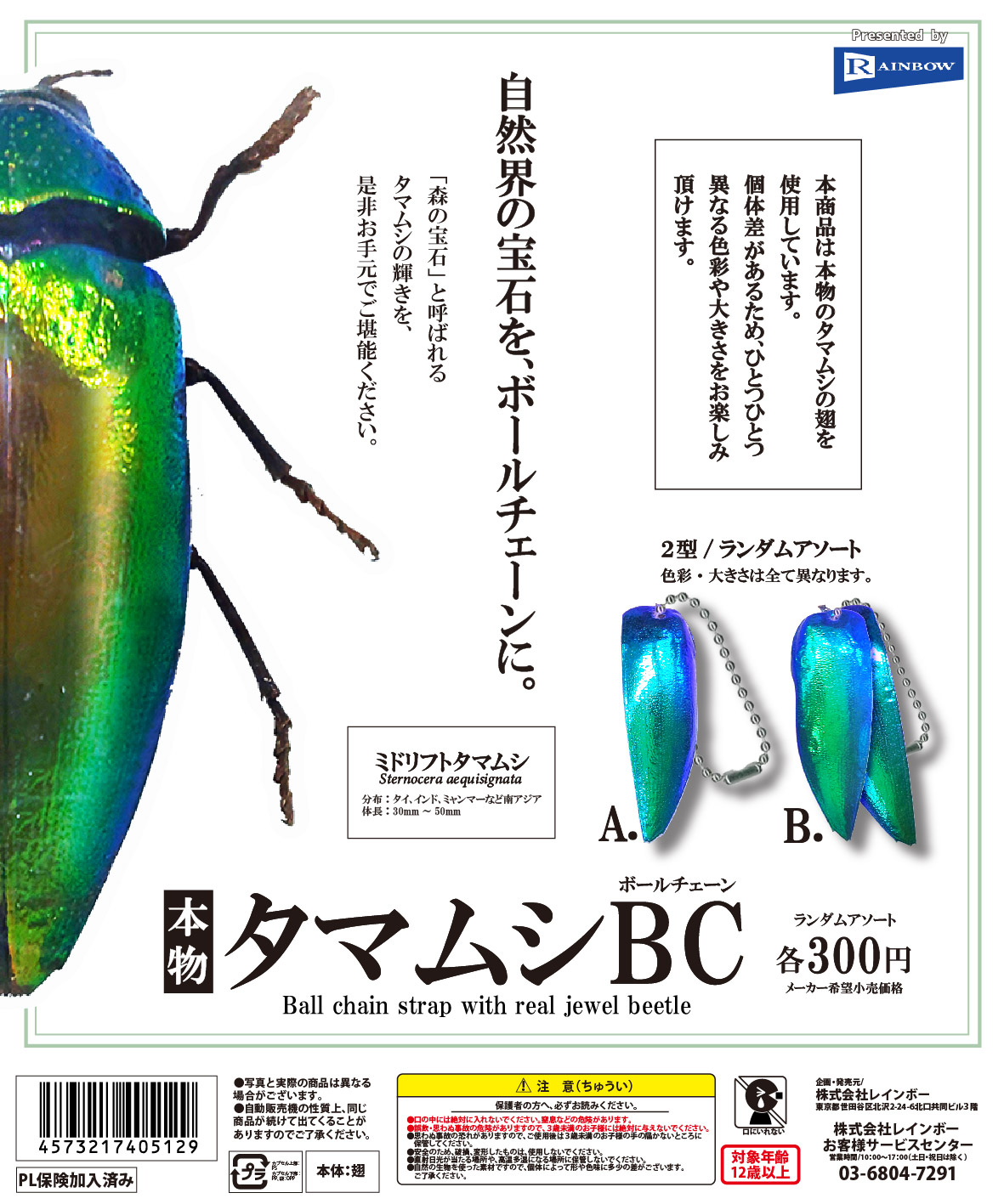 本物タマムシBC